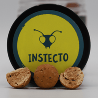 InStecto boilies - 1KG - Orange