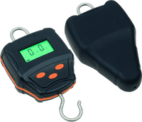 Balances numériques