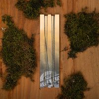 R2G Heli SR Bas de ligne 90/ Combinaison plombée Rig Shot