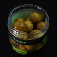 Maggot Doux & Crème - Appâts Durs - 20mm