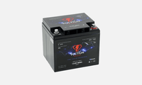 LiFePO4 - 60Ah - 12,8V - Batterie
