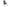 WorldWide - Fauteuil inclinable - Haut