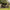 Avid Carp Exo - Bivvy System - 2 Man - KarperCentrale