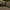 Avid Carp Revolve Bed - 6 poten - KarperCentrale