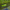 Booster Carp Medium Bait Boat - Hi - Viz - Basic - KarperCentrale
