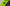 Booster Carp Medium Bait Boat - Hi - Viz - Basic - KarperCentrale