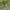 Booster Carp Medium Bait Boat - Hi - Viz - Basic - KarperCentrale