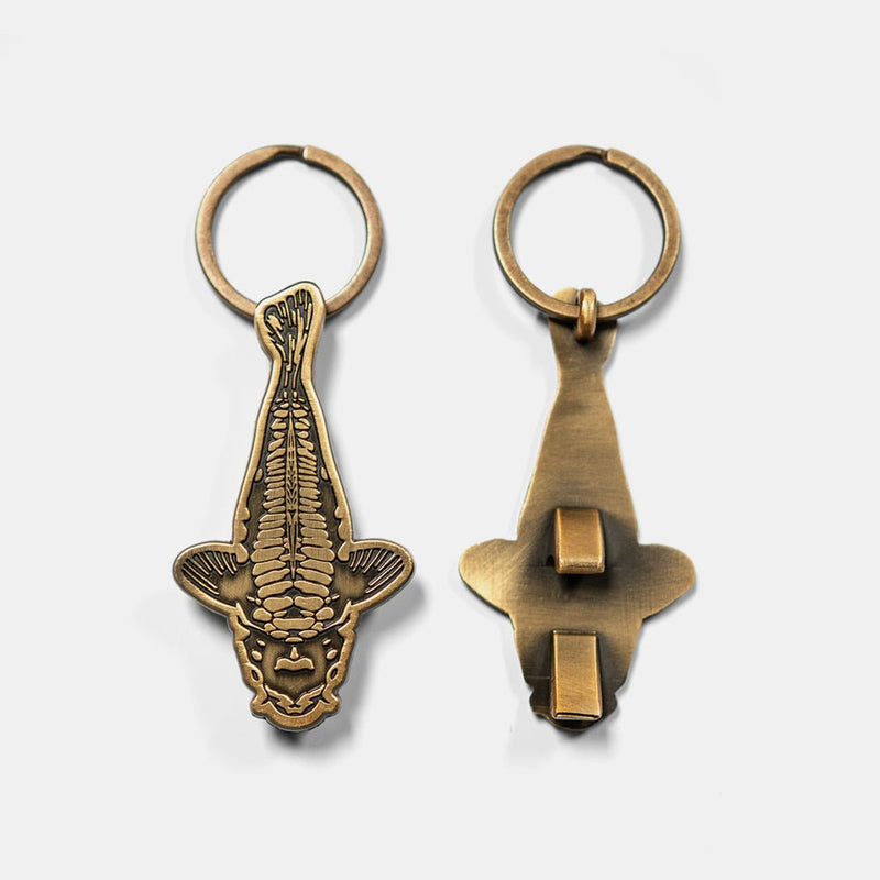 Ouvre-bouteille - Nouvelle Lune