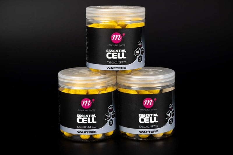 Cellule Essentielle - Wafters Équilibrés