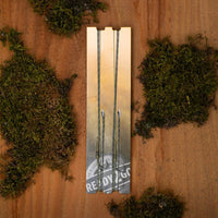 PB Products Compleet - R2G Inline SR - Leader 90cm - Line Aligner Rig - KarperCentrale