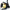 Sonik Sports Xtractor+ GS - 5000 - KarperCentrale