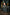 Trakker NXC - Bitz Pouch - Large - KarperCentrale